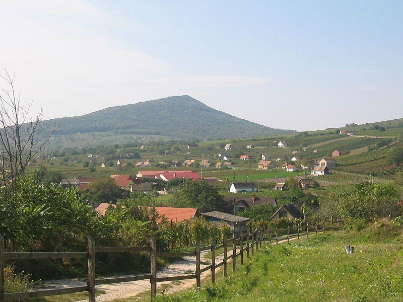 Otto Panzio Villány Rum bild